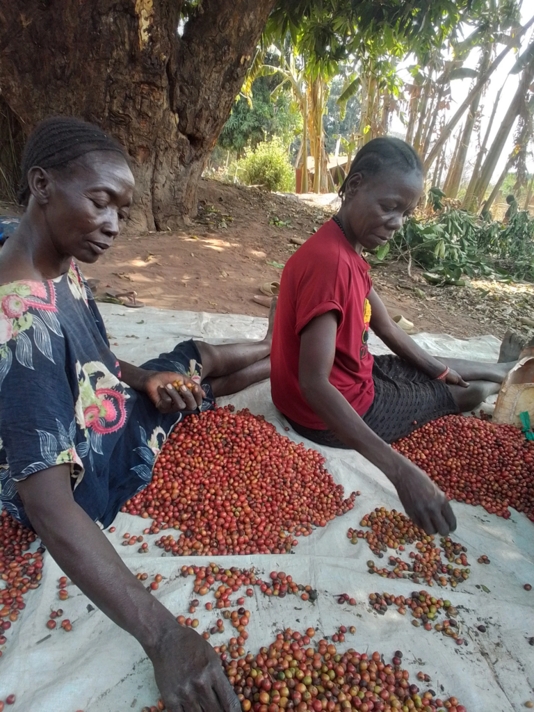 excelsea-in-south-sudan-8