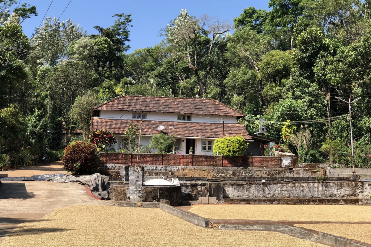 palate_estate_home_vishrutha_shetty_03